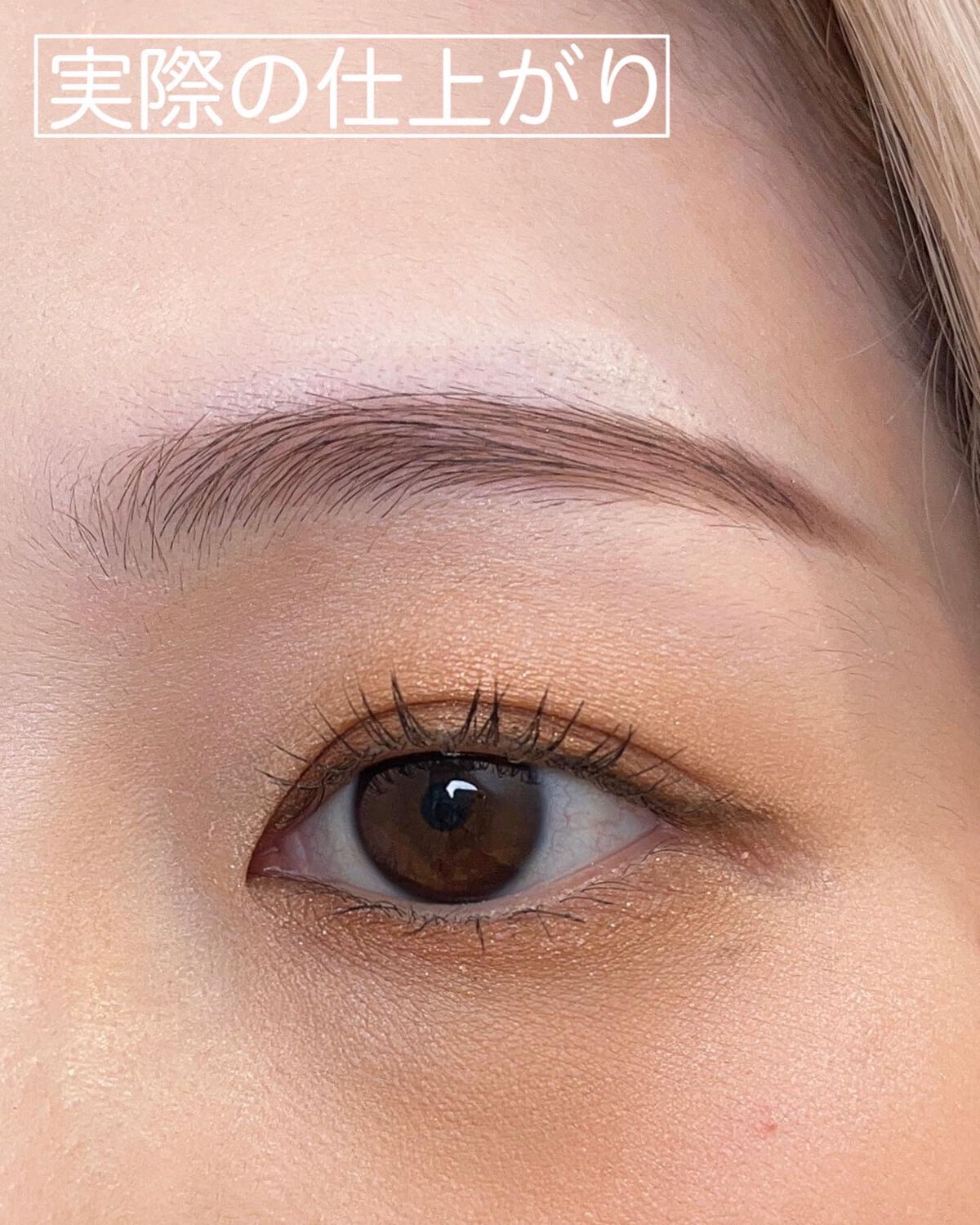 セルヴォーク インディケイトアイブロウパウダー 03 パープルブラウン/Celvoke/パウダーアイブロウを使ったクチコミ（3枚目）