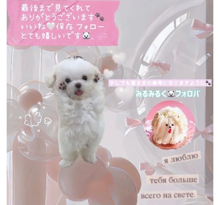 ポイントリペア スーパーハード/plus eau/ヘアジェルを使ったクチコミ（3枚目）