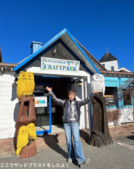 シャドーカスタマイズ/MAJOLICA MAJORCA/単色アイシャドウを使ったクチコミ(2枚目)