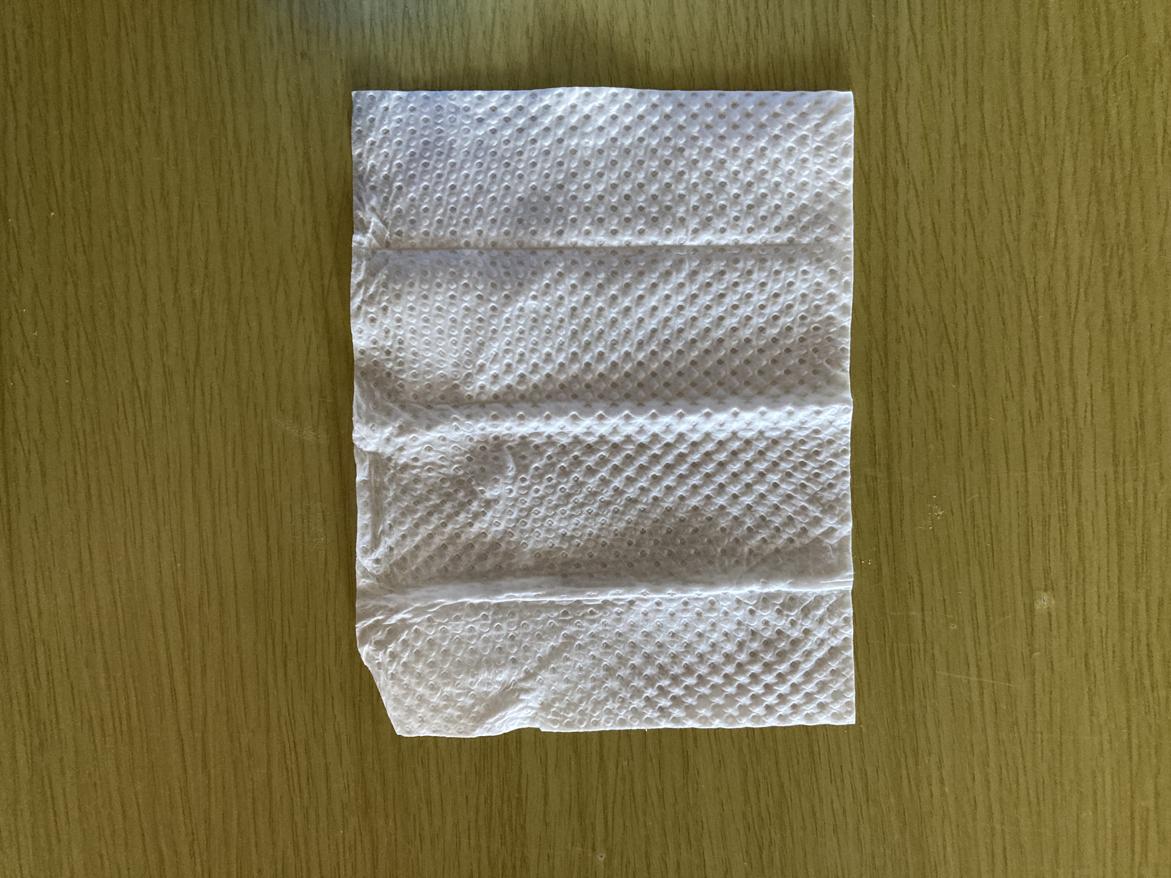 除菌 流せるトイレクリーナー/DAISO/その他を使ったクチコミ（3枚目）