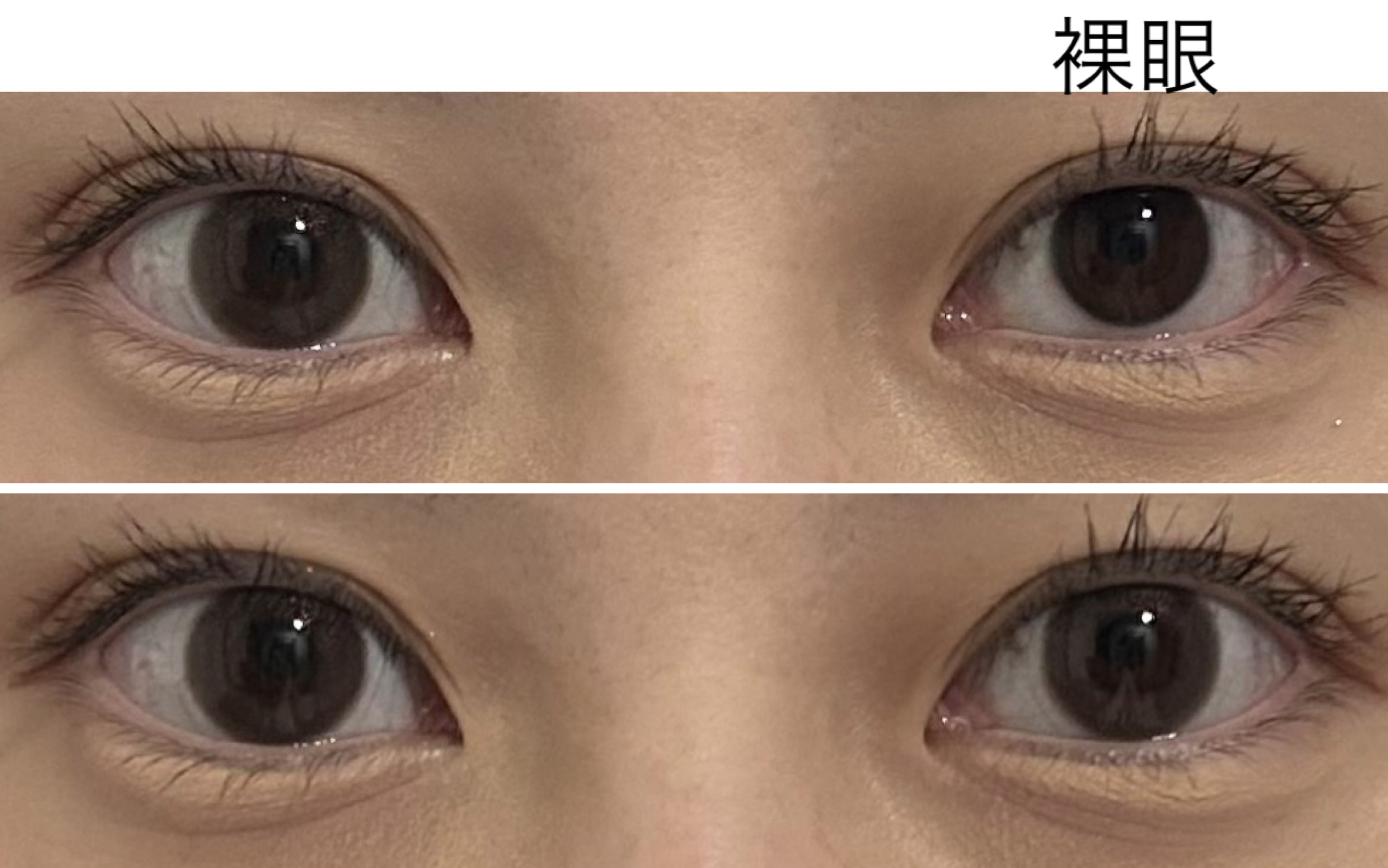 フェアリー ワンデー シマーリングシリーズ LavenderNude（ラベンダーヌード）/FAIRY/ワンデー（１DAY）カラコンを使ったクチコミ（3枚目）