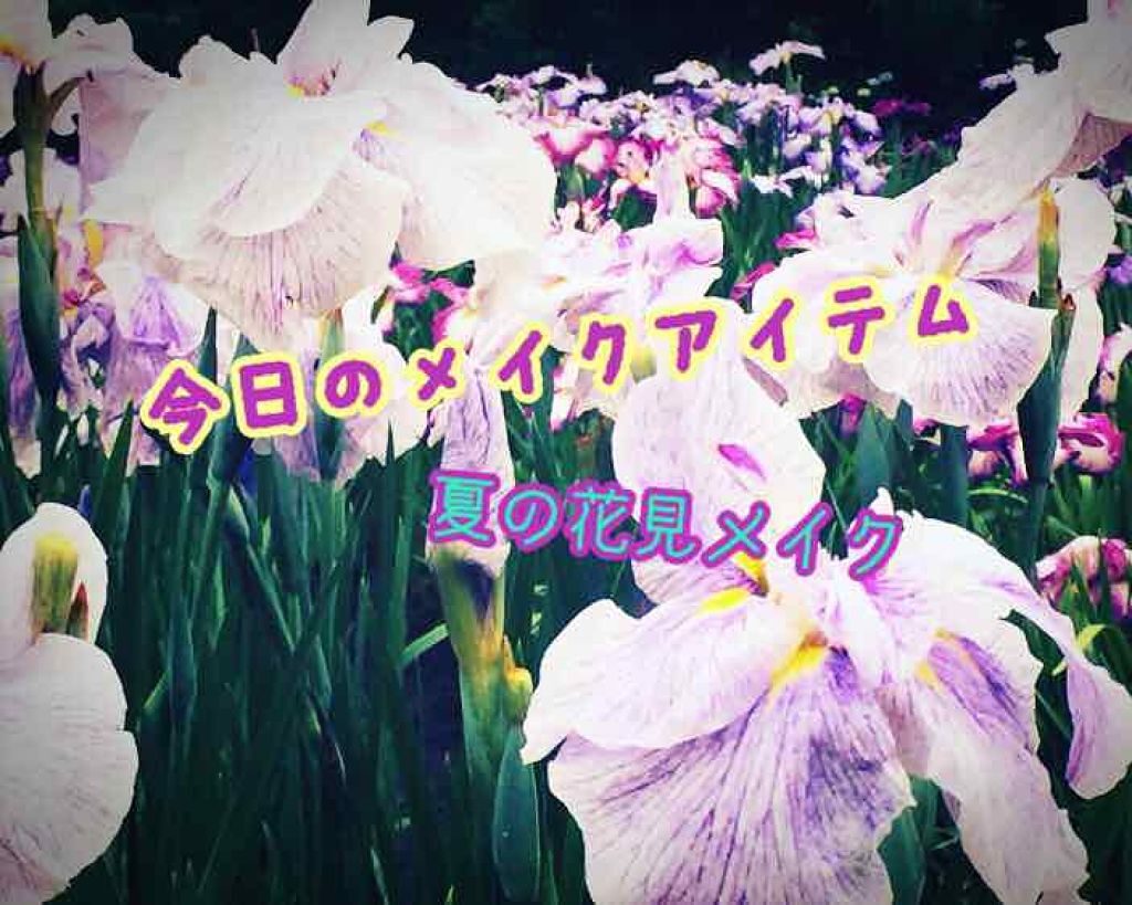 グロッシーリッチ アイズ/Visée/アイシャドウパレットを使ったクチコミ(1枚目)