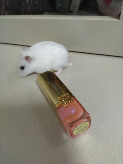 ピュア カラー クリスタル シアー リップスティック/ESTEE LAUDER/口紅を使ったクチコミ(1枚目)