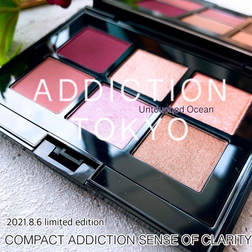 ADDICTION アイシャドウパレット コンパクト 10