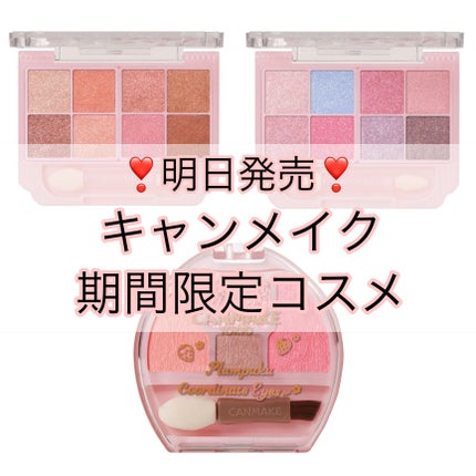 プランぷくコーデアイズ/キャンメイク/パウダーアイシャドウを使ったクチコミ(1枚目)