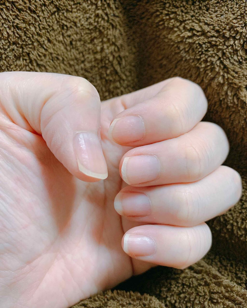 エテュセ クイックケアコート/ettusais/ネイルオイル・トリートメントを使ったクチコミ(3枚目)