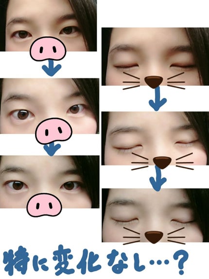 THE まつ毛美容液/UZU BY FLOWFUSHI/まつげ美容液を使ったクチコミ(2枚目)