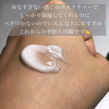 グリーンティーシード クリーム/innisfree/フェイスクリームを使ったクチコミ(3枚目)