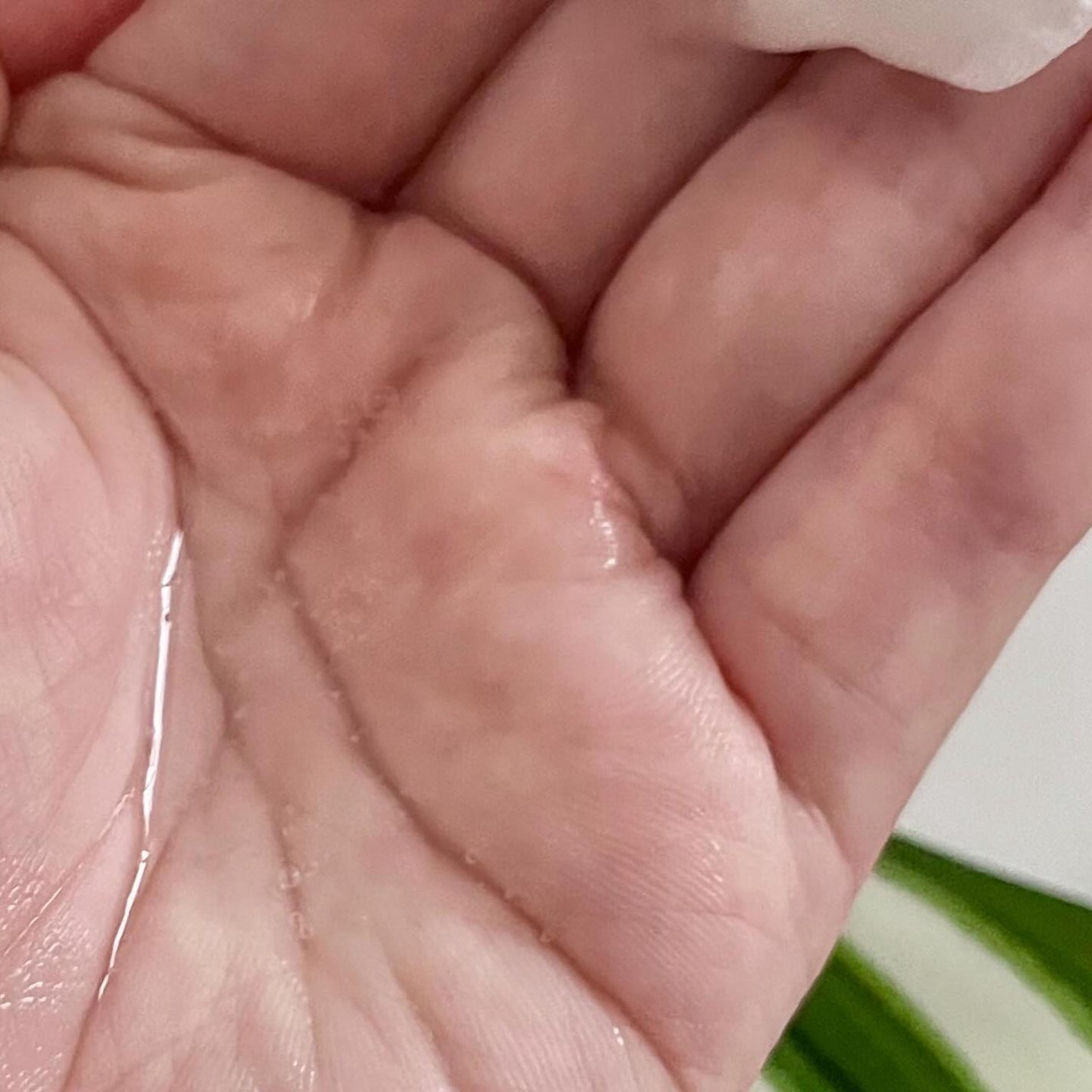 グリーンダーマCICA デイリーシートマスク/ネイチャーリパブリック/シートマスク・パックを使ったクチコミ(6枚目)