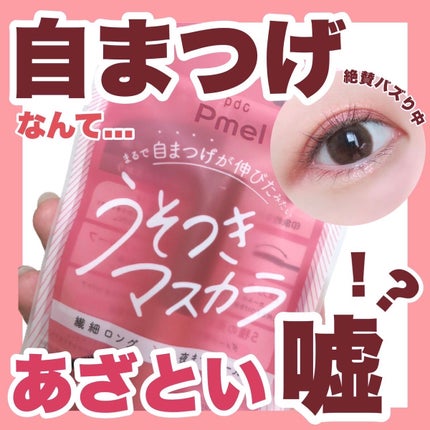 ピメル うそつきマスカラ/pdc/マスカラを使ったクチコミ(1枚目)