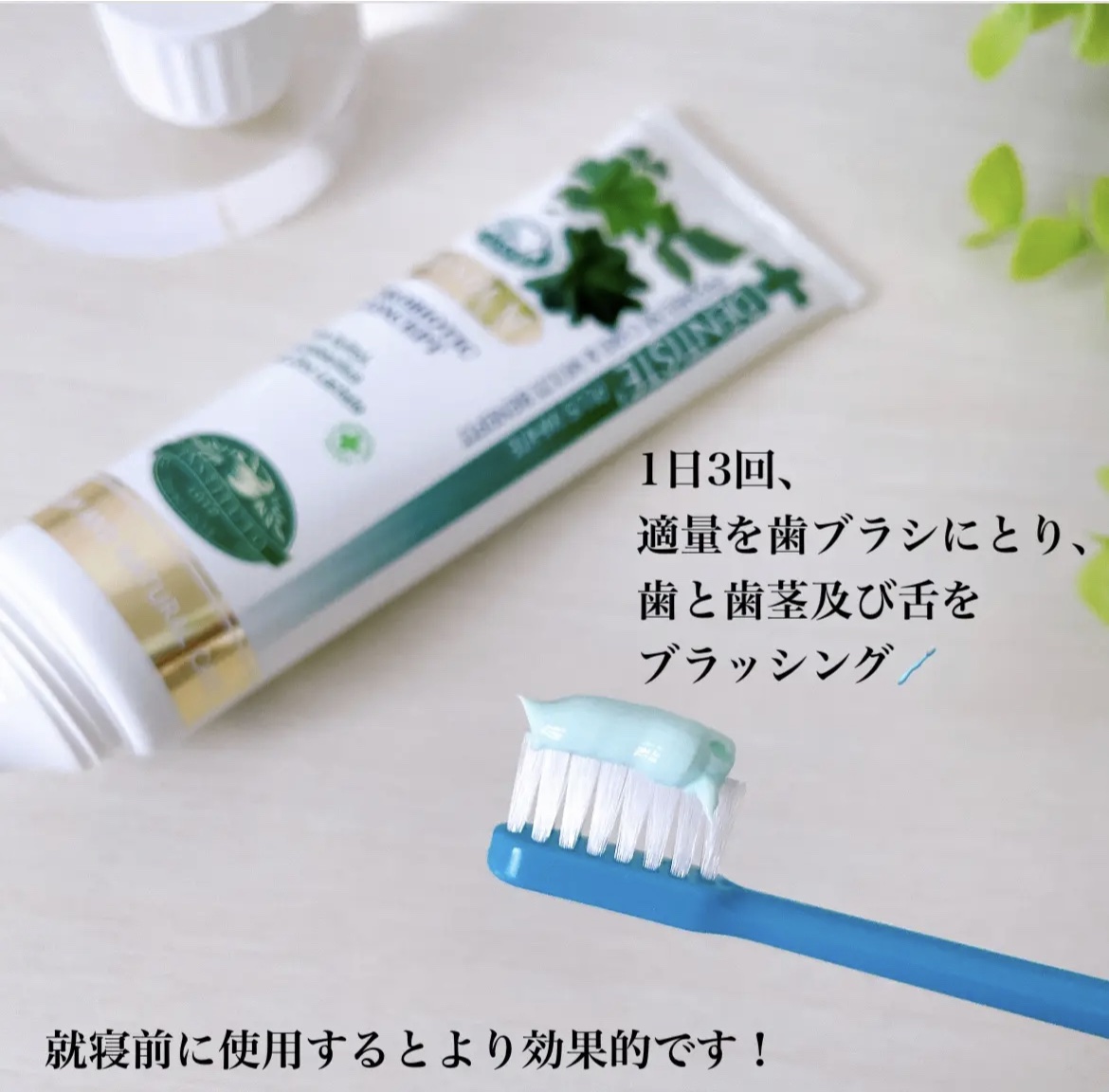 デンティス Pro-B チューブタイプ/デンティス/歯磨き粉を使ったクチコミ（2枚目）