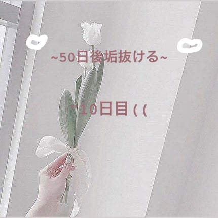 さけるチーズ/雪印メグミルク/食品を使ったクチコミ(1枚目)