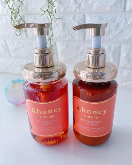 を使ったクチコミ(1枚目)