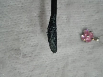 ラッシュエキスパンダー ロングロングロング/MAJOLICA MAJORCA/マスカラを使ったクチコミ(2枚目)