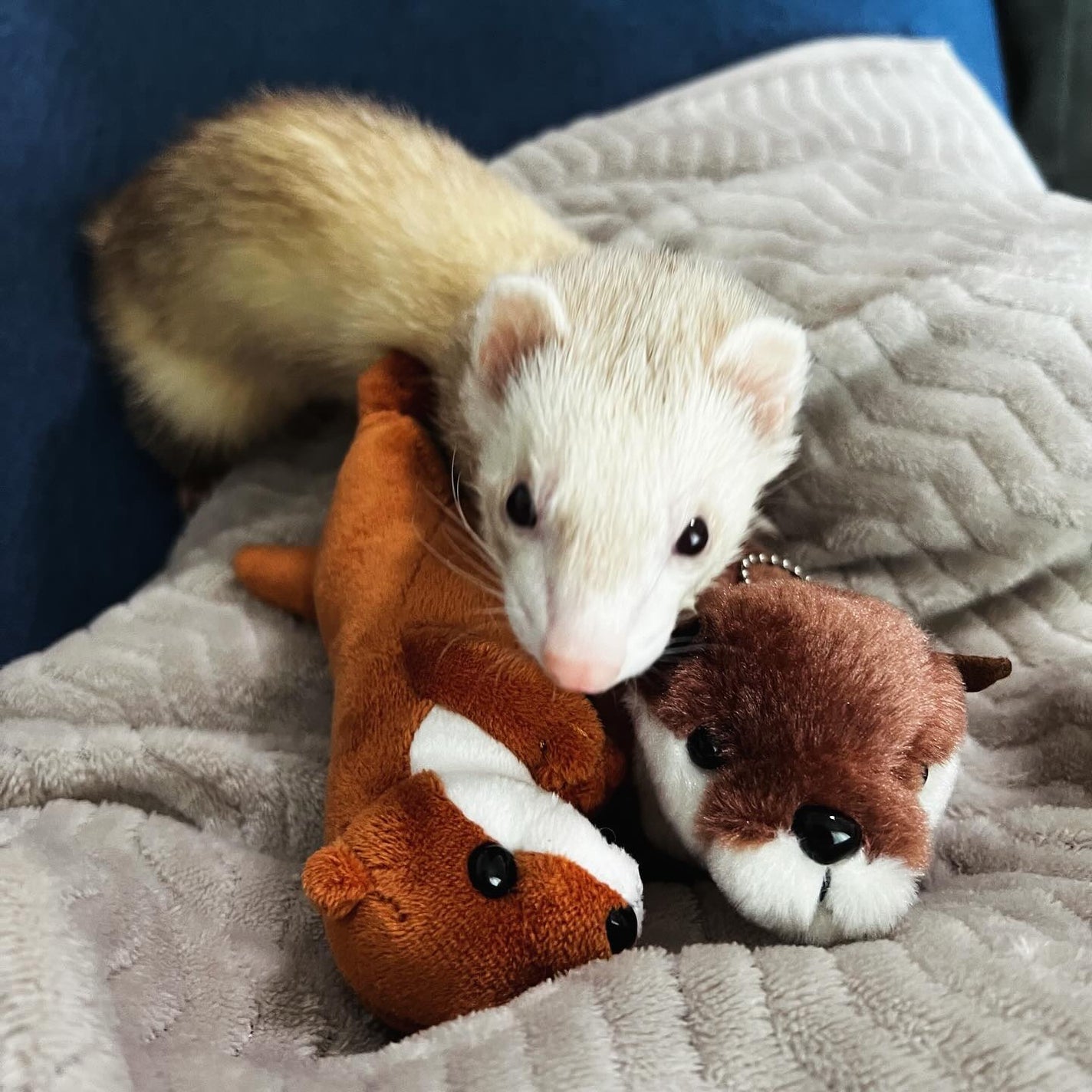 u.フォロバ on LIPS 「#東京観光での収穫✔️#ahres#アーレス#ローメルトクレン..」(9枚目)