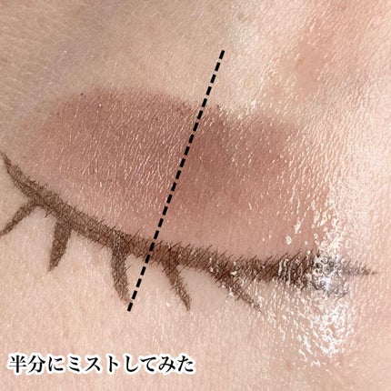 ウルトラ セッティング リアル フィクサー/saat insight/フィックスミストを使ったクチコミ(4枚目)