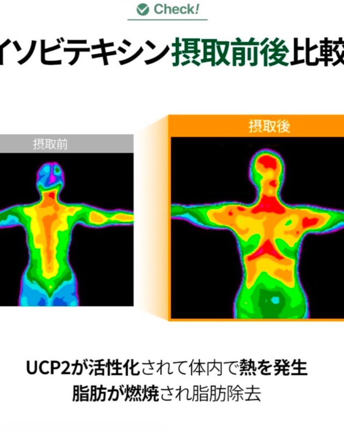 イソビテキシンダイエット　6箱 イソビテキシンダイエット 6箱