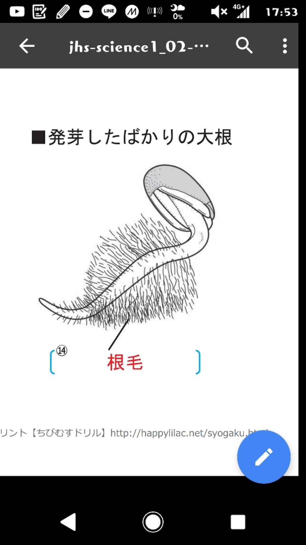 ꒰ コ ト ノ ハ ꒱ on LIPS 「【質問】【質問】こんにちわ!🐰꒰コトノハ꒱です!質問があります..」(1枚目)