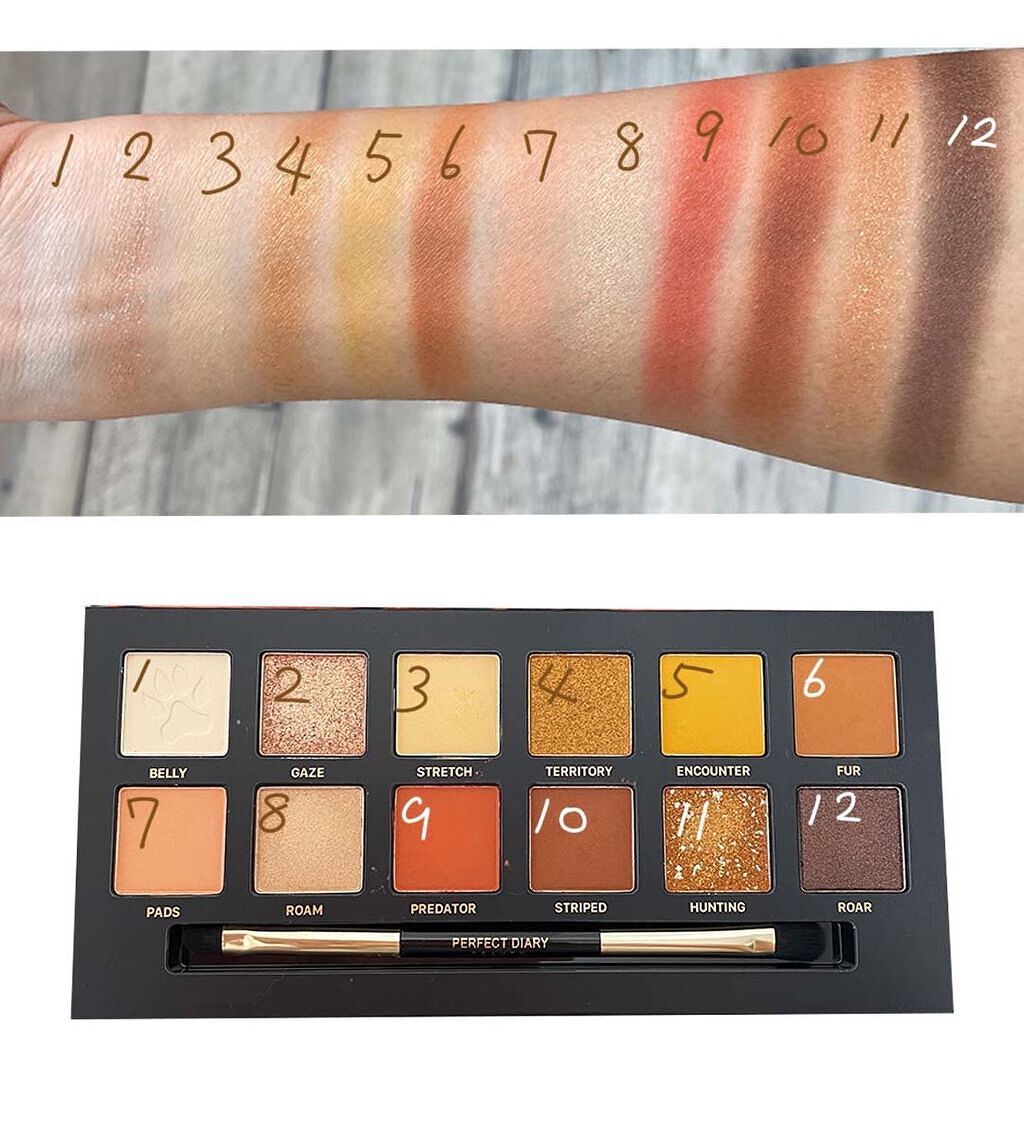 エクスプローラ12色 動物アイシャドウパレット/PERFECT DIARY/アイシャドウパレットを使ったクチコミ（2枚目）