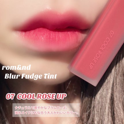 rom&nd ブラーファッジティント/rom&nd/リップティントを使ったクチコミ(6枚目)