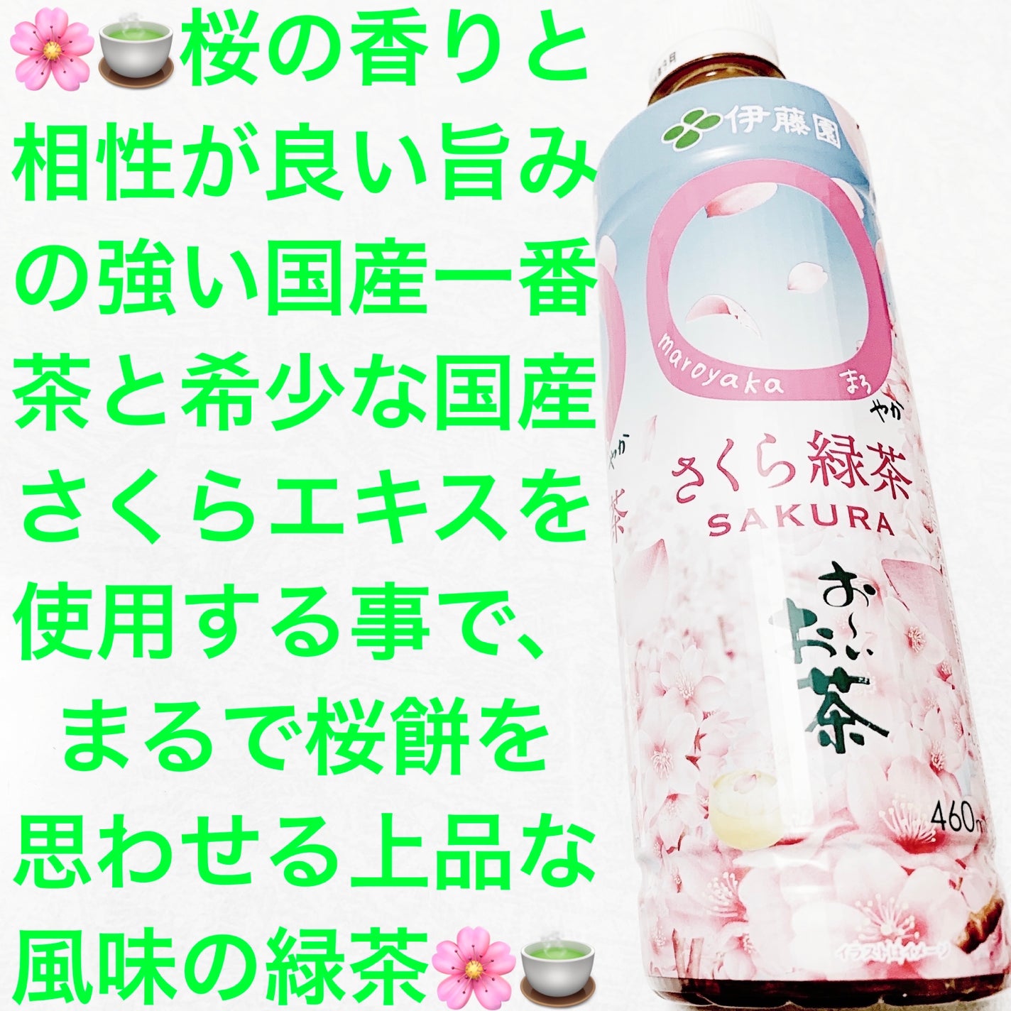 おーいお茶 ◯(まろ)やか さくら緑茶/伊藤園/美容ドリンクを使ったクチコミ(1枚目)