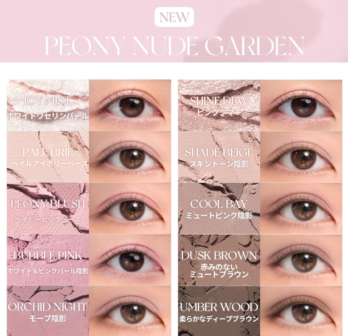 ベターザンパレット 06 ピオニーヌードガーデン(PEONY NUDE GARDEN)/rom&nd/アイシャドウパレットを使ったクチコミ（3枚目）