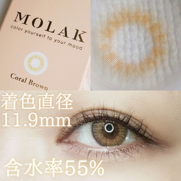 MOLAK MOLAK 1dayのクチコミ「🍁MOLAK  Coral Brown
1day 14.2mm 着色直径11.9mm  10枚.....」（1枚目）