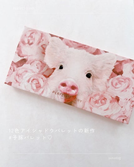 エクスプローラ12色 動物アイシャドウパレット/PERFECT DIARY/アイシャドウパレットを使ったクチコミ(2枚目)