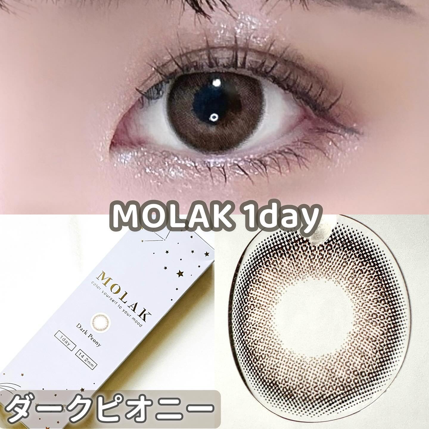 MOLAK 1day ダークピオニー/MOLAK/ワンデー（１DAY）カラコンを使ったクチコミ（1枚目）