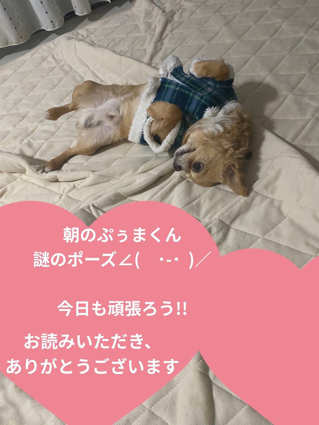 グリーンティー クレンジングウォーター/innisfree/クレンジングウォーターを使ったクチコミ(7枚目)