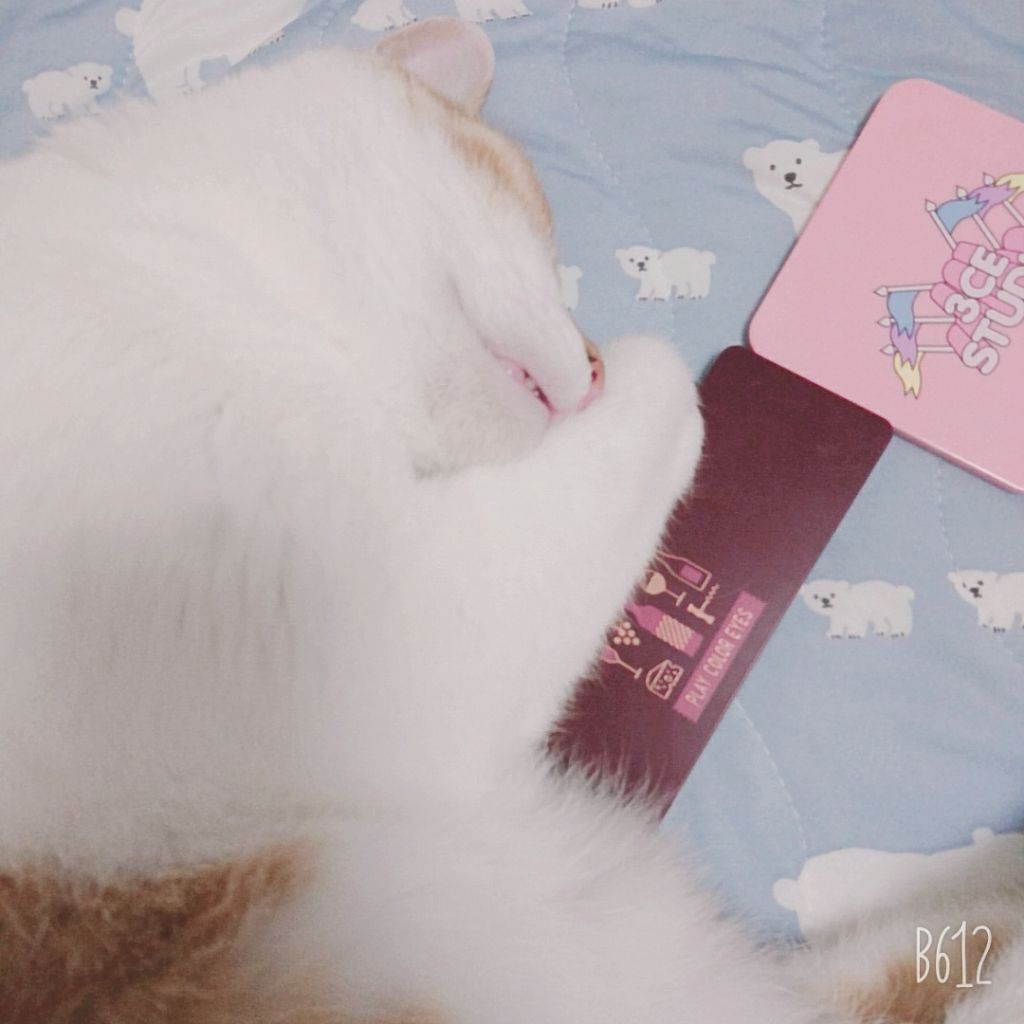 プレイカラー アイシャドウ/ETUDE/アイシャドウパレットを使ったクチコミ(1枚目)