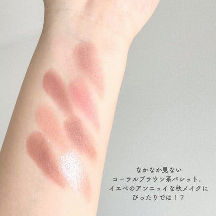 プティパレットアイズ(マットタイプ)/キャンメイク/パウダーアイシャドウを使ったクチコミ(3枚目)