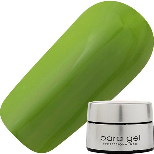 パラジェル Real Color AR7 オリーブグリーン