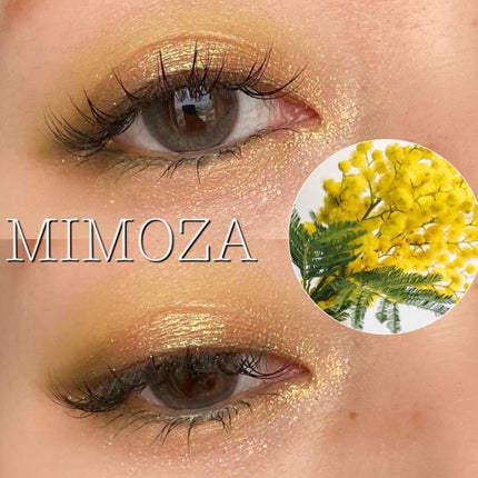 パーフェクトマルチアイズ/キャンメイク/アイシャドウパレットを使ったクチコミ(1枚目)