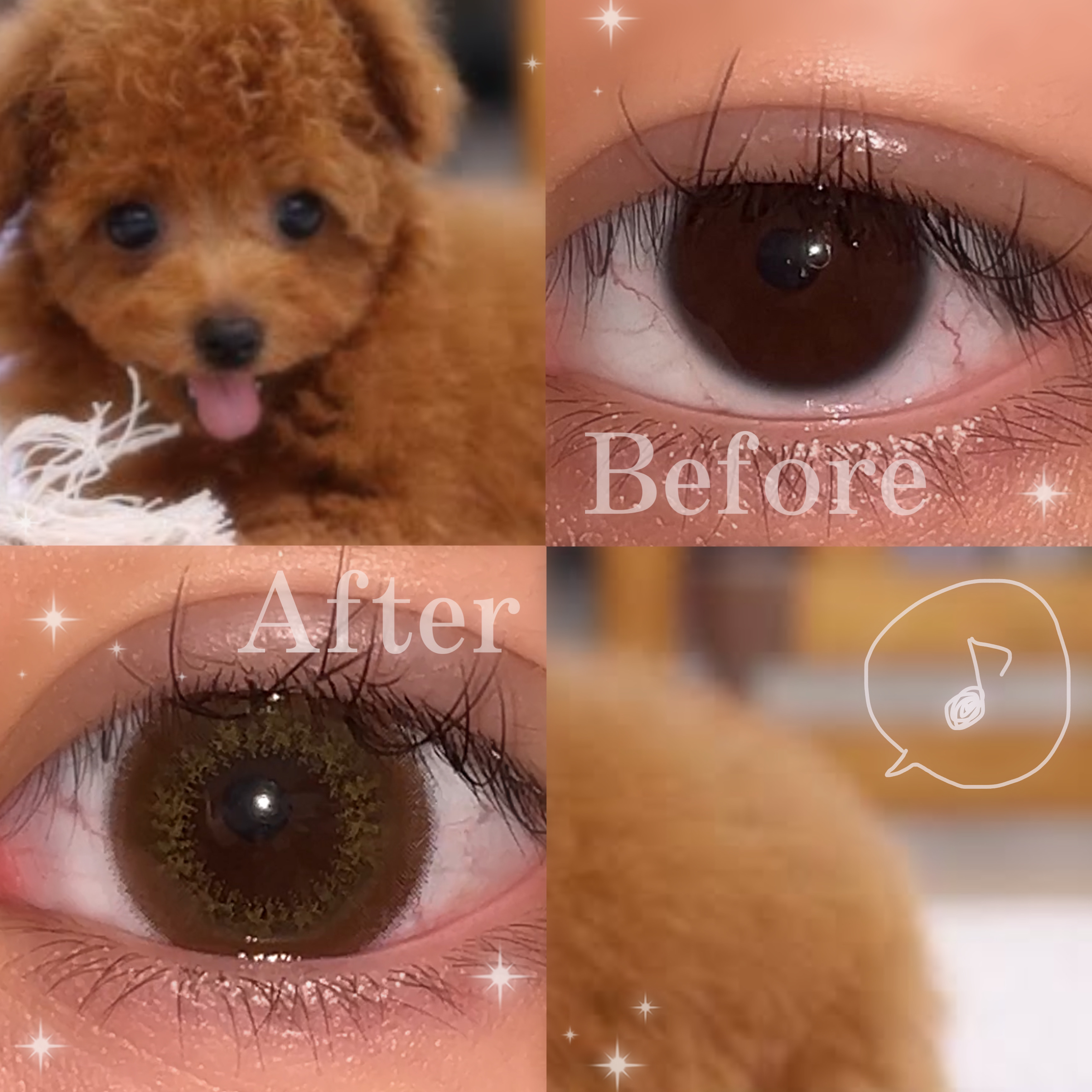 Flurry by colors 1day くりくりプードル/Flurry by colors/ワンデー（１DAY）カラコンを使ったクチコミ（2枚目）