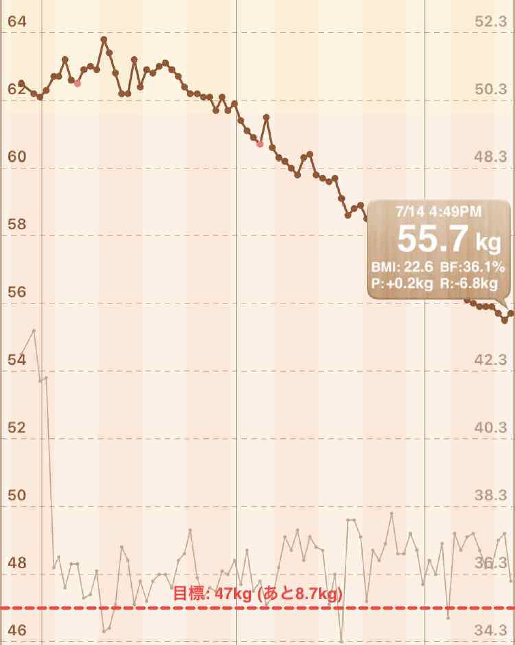 R ioka on LIPS 「ダイエット記録です体重 55.7㌔体脂肪 36.1%朝 無し昼..」(2枚目)