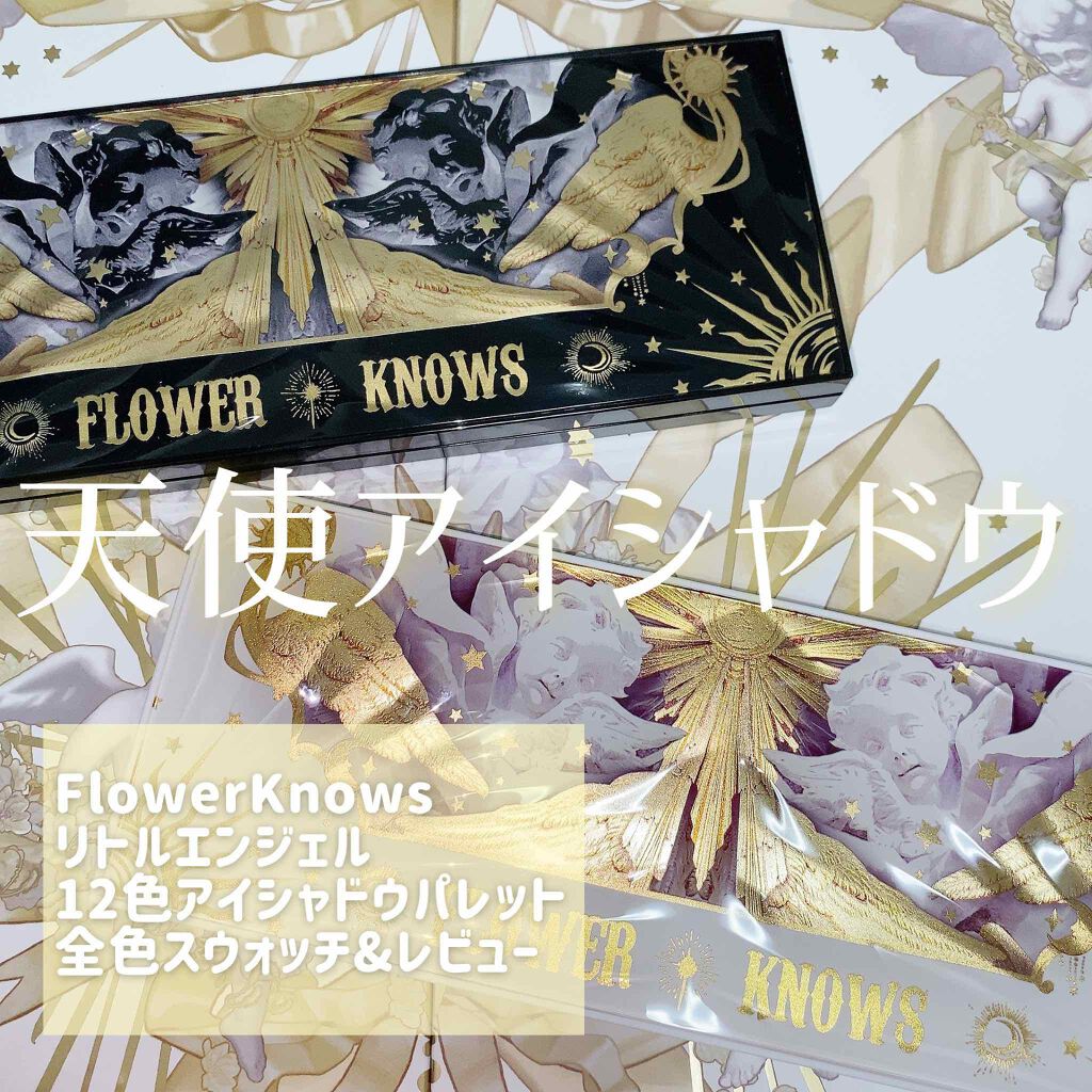 リトルエンジェル12色アイシャドウパレット ダークエンジェル/FlowerKnows/アイシャドウパレットを使ったクチコミ（1枚目）