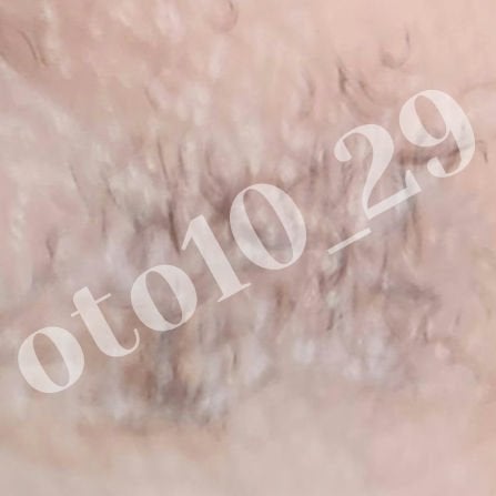 ラッシュボーン ブラックファイバーイン/MAJOLICA MAJORCA/マスカラ下地を使ったクチコミ(2枚目)