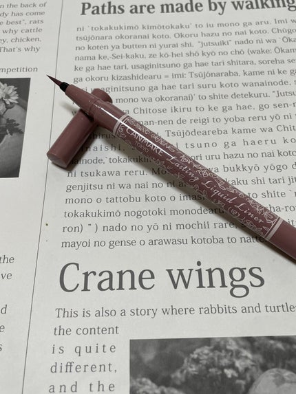 ラスティングリキッドライナー/キャンメイク/リキッドアイライナーを使ったクチコミ(1枚目)