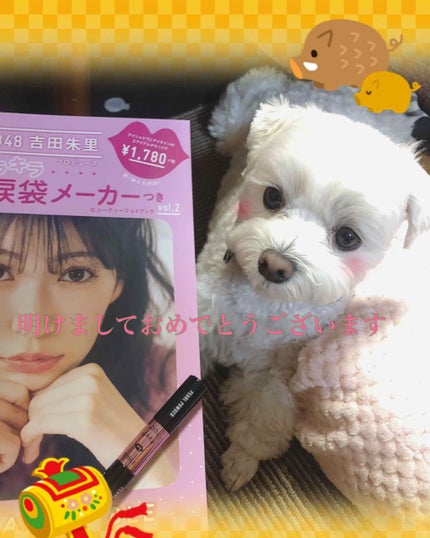 NMB48 吉田朱里 プロデュース キラキラW涙袋メーカーつき IDOL MAKE BIBLE@アカリン/主婦の友社/書籍を使ったクチコミ(1枚目)