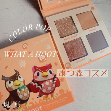 what a hoot/ColourPop/アイシャドウパレットを使ったクチコミ（1枚目）