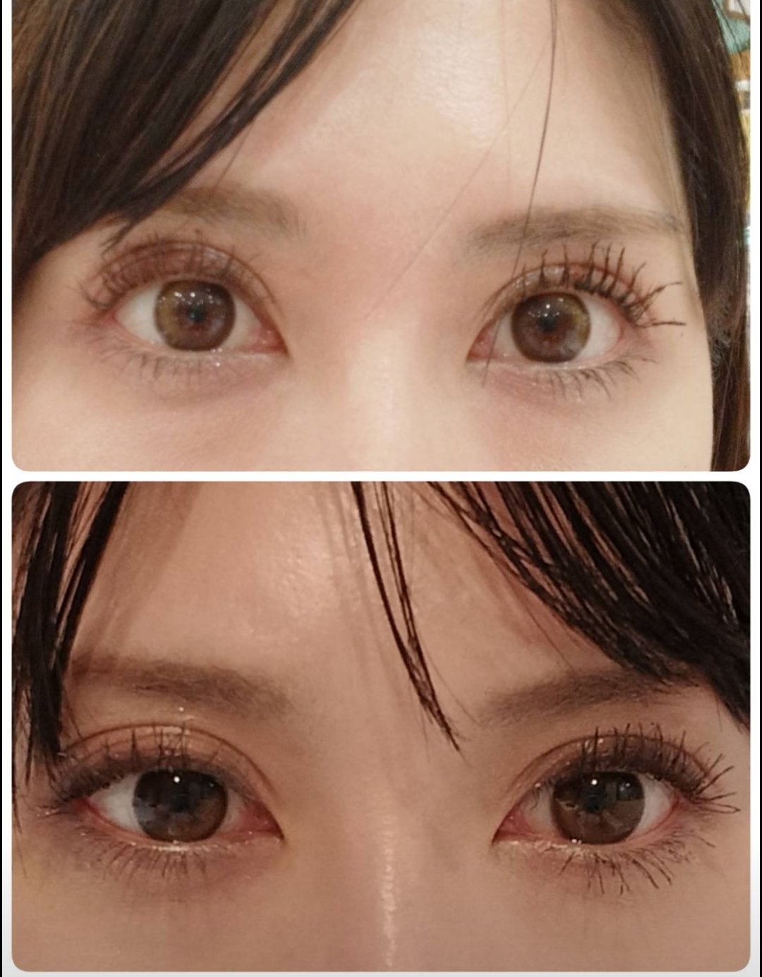 ラッシュエキスパンダー ロングロングロング/MAJOLICA MAJORCA/マスカラを使ったクチコミ（1枚目）