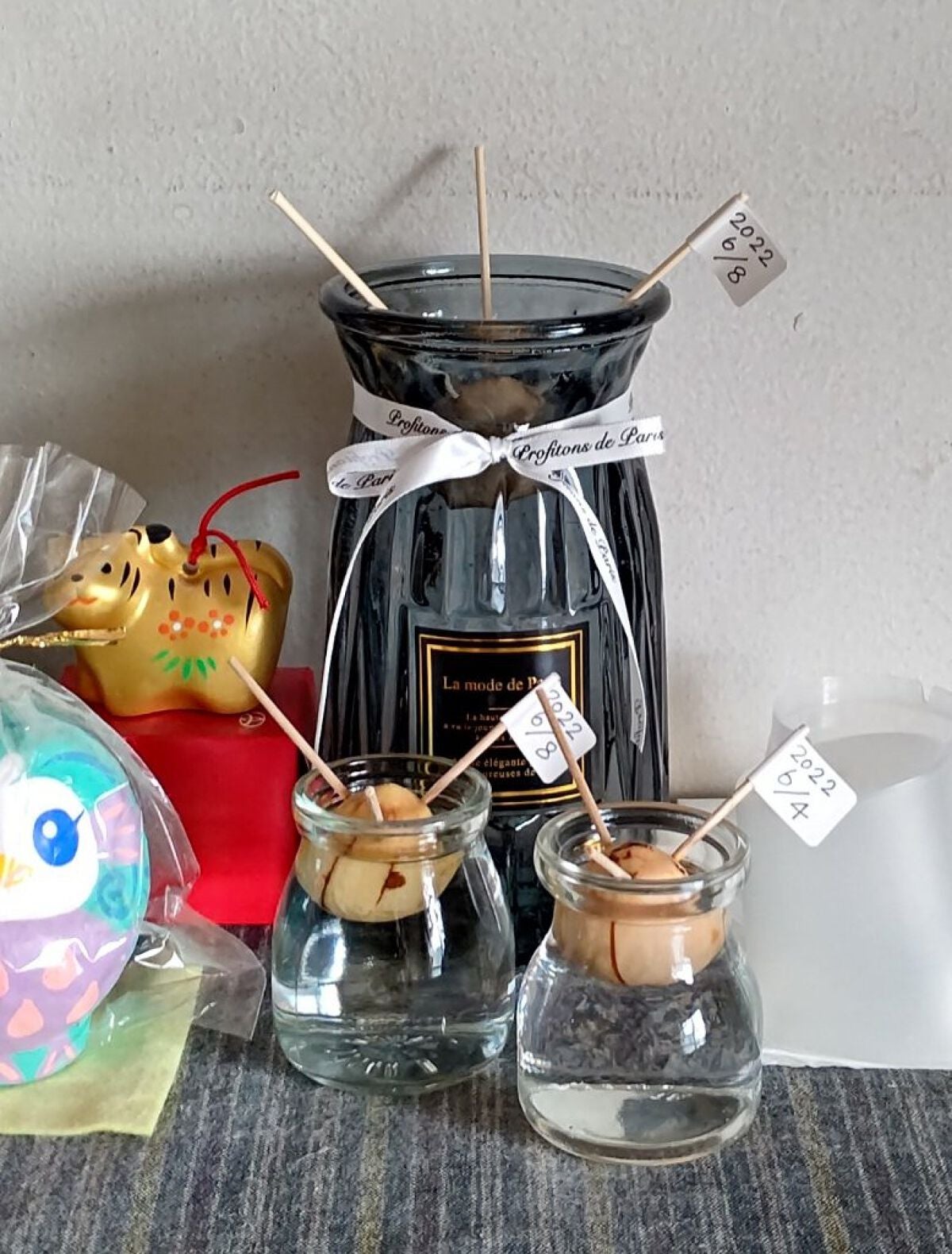 ガラス花瓶/DAISO/その他を使ったクチコミ(1枚目)