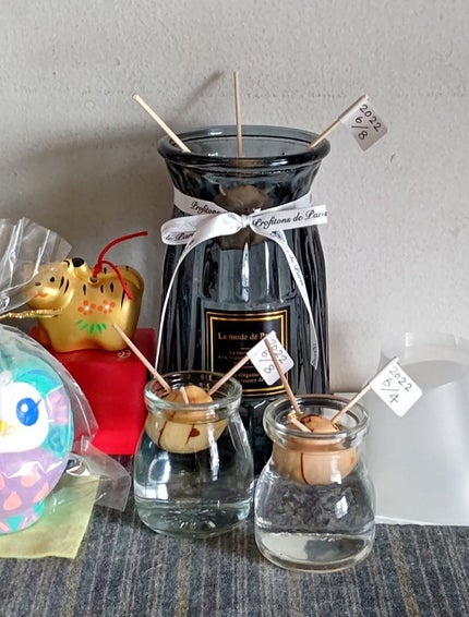 ガラス花瓶/DAISO/その他を使ったクチコミ(1枚目)