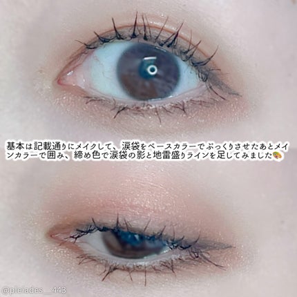 Vieta グロウフィットアイズ/ナリス化粧品/アイシャドウパレットを使ったクチコミ(5枚目)