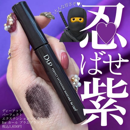パーフェクトエクステンション マスカラ for カール/D-UP/マスカラを使ったクチコミ(1枚目)