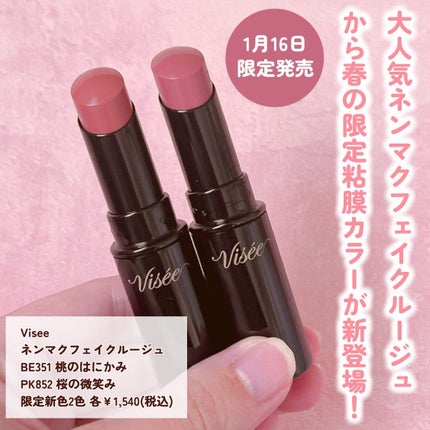 ネンマクフェイク ルージュ/Visée/口紅を使ったクチコミ(2枚目)