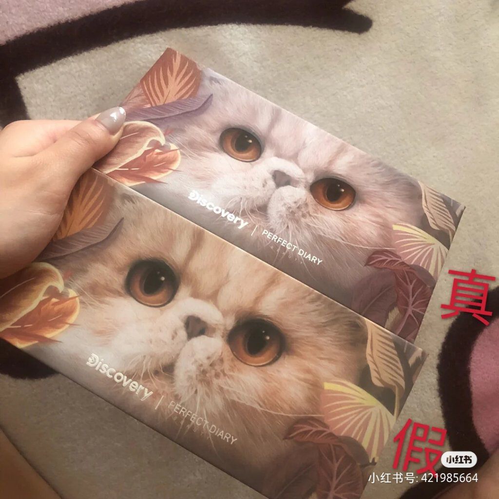 エクスプローラ12色 動物アイシャドウパレット/PERFECT DIARY/アイシャドウパレットを使ったクチコミ（3枚目）