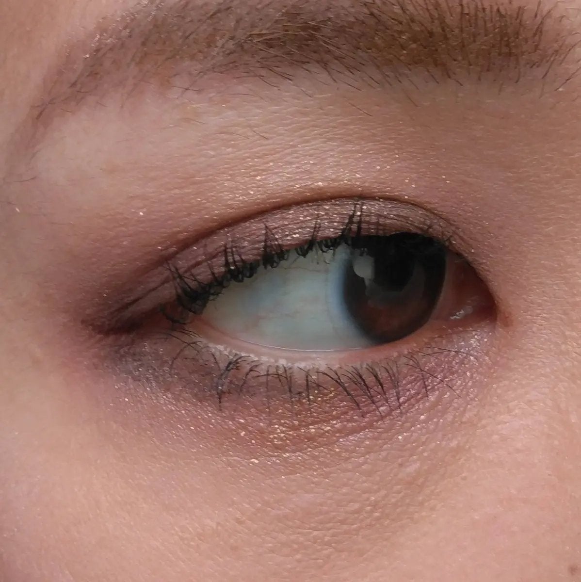 アイカラーレーション/LUNASOL/アイシャドウパレットを使ったクチコミ(3枚目)