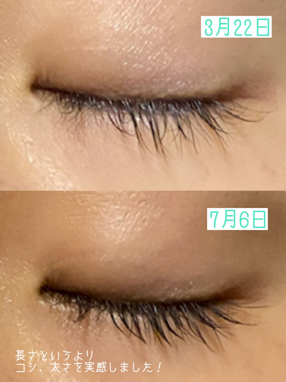 ロングアクティブアイラッシュセラム/COSNORI/まつげ美容液を使ったクチコミ（2枚目）